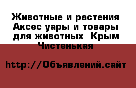 Животные и растения Аксесcуары и товары для животных. Крым,Чистенькая